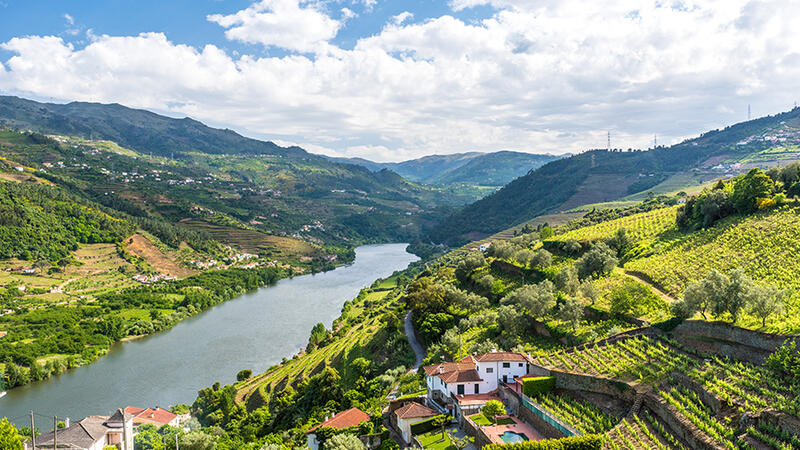 Romance of the Douro River