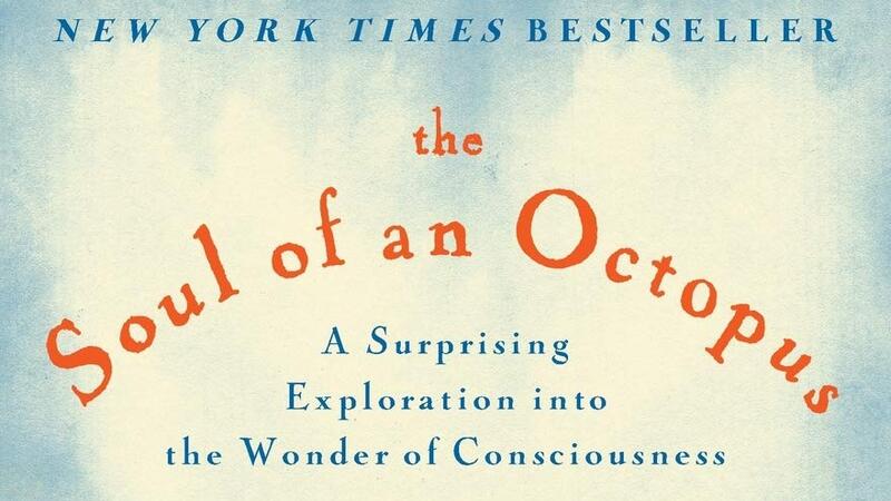 The Soul of an Octopus: A Surprising Exploration into the Wonder of Consciousness