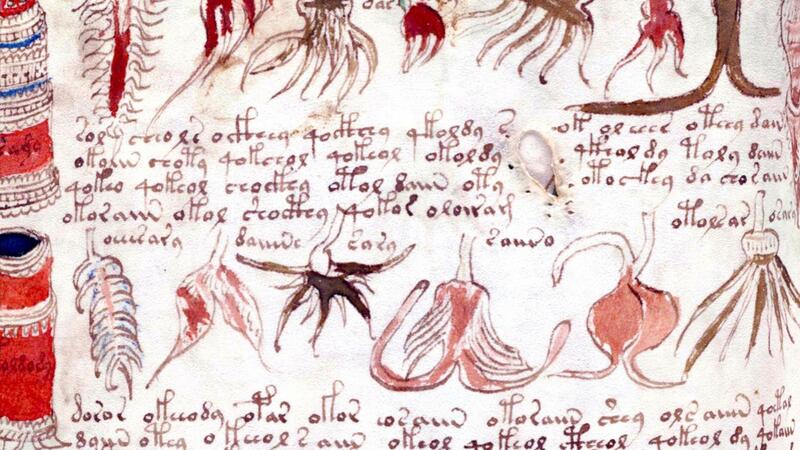 Voynich Manuscript 4